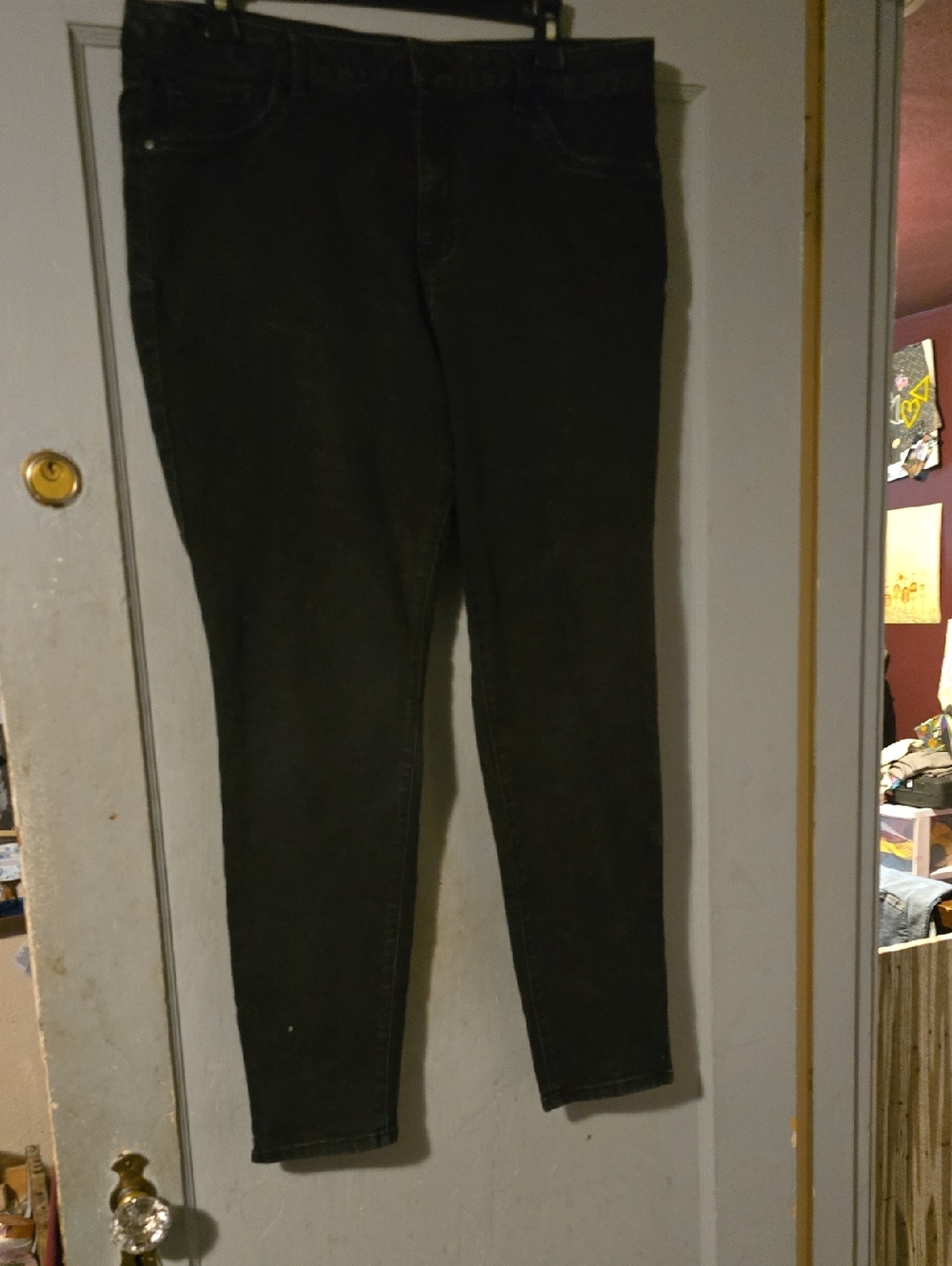 d. jeans Black Women Jeans Jeggings